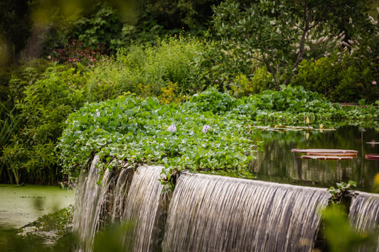 Cascading waterfall over stone ledge with lily pads and lush greenery at Powell Gardens botanical garden near Kansas City Missouri